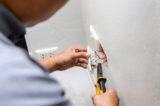 Best Licensed Electrician  in Palos Park, IL